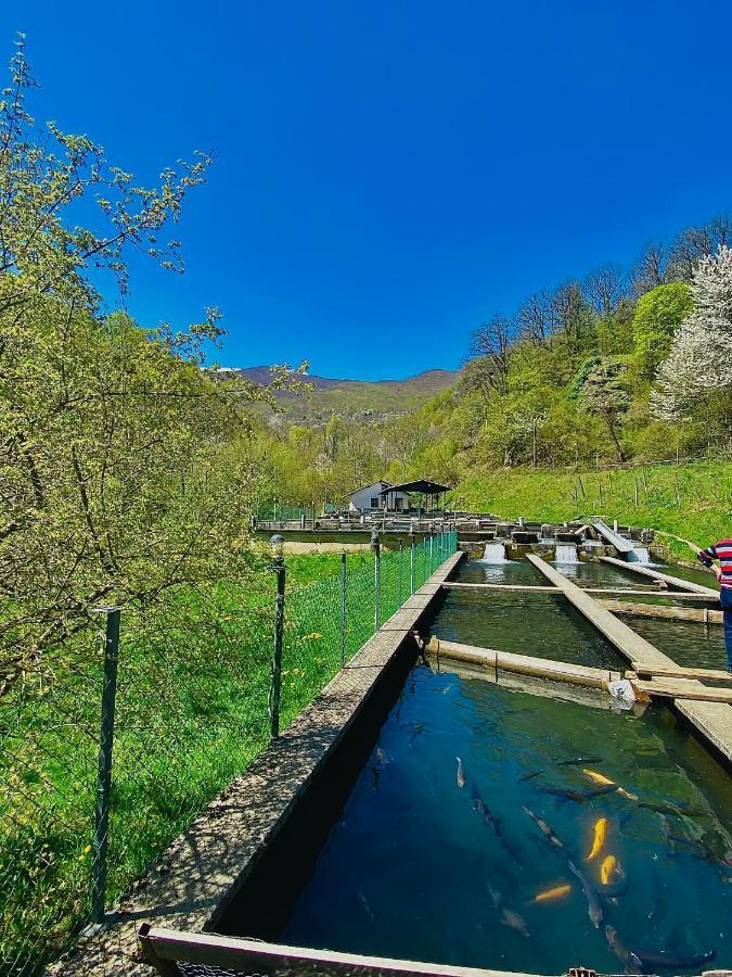 Cottage Modrich Struga Exteriér fotografie